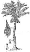 CHR50019.JPG