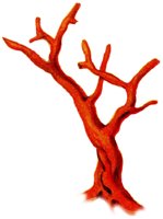CHR50018.JPG