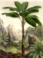 CHR50015.JPG