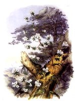 CHR50011.JPG