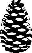 CHQ00001.WMF