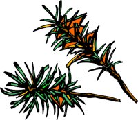 CHO00069.WMF