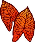 CHO00060.WMF