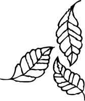 CHO00048.WMF