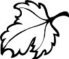 CHO00012.WMF
