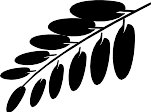 CHO00010.WMF