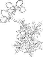 CHN50015.TIF