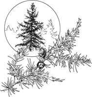 CHM50037.TIF