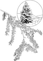 CHM50036.TIF