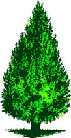 CHM00111.WMF