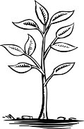 CHM00043.WMF
