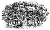 CHL50149.JPG