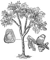 CHL50147.JPG