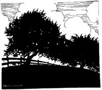CHL50058.TIF