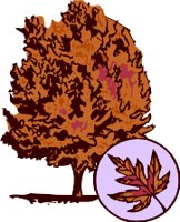 CHL00132.WMF
