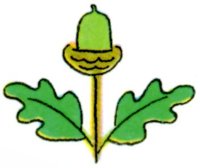 CHK50013.JPG