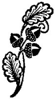 CHK50008.TIF