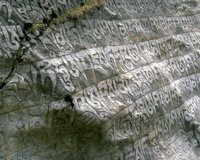 CIC50018.JPG