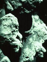 CIC50009.JPG