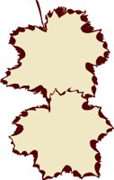 CIH00029.WMF