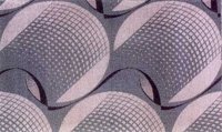 CIO50071.JPG