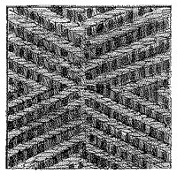 CIO50003.TIF