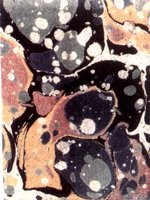 CIP50025.JPG