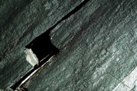 CIQ50094.JPG