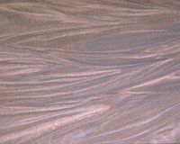 CIQ50087.JPG