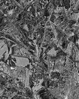CIQ50072.JPG