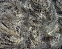 CIQ50064.JPG