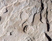 CIQ50055.JPG