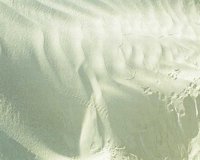 CIQ50049.JPG
