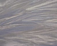 CIQ50045.JPG