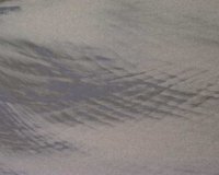 CIQ50031.JPG