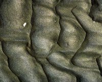 CIQ50026.JPG