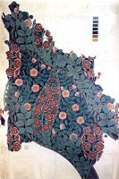 CIR50030.JPG