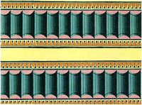 CIT50487.JPG
