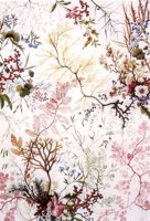 CIT50336.JPG