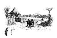 CJW50510.JPG