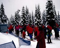 CJW50464.JPG