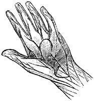 CKH50380.TIF