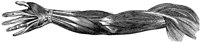 CKH50377.TIF