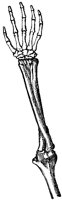 CKH50373.TIF