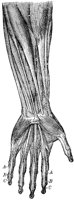 CKH50239.TIF