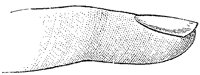 CKH50093.TIF