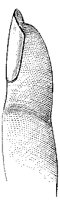 CKH50092.TIF