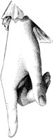 CKH50056.TIF