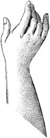 CKH50038.TIF