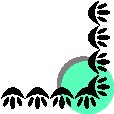 CORN211.WMF
